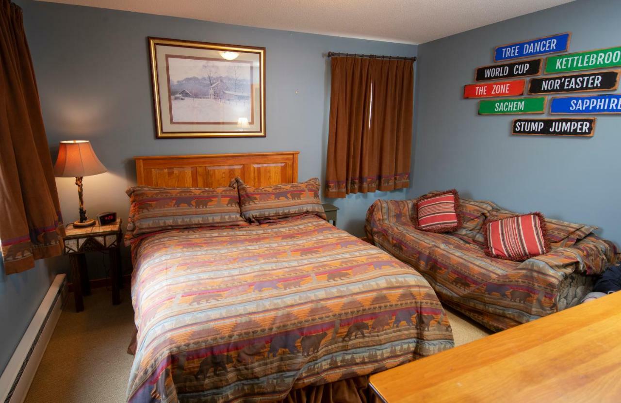 Okemo Mountain Lodging Ludlow Exterior foto